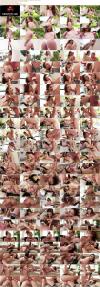 Thumbnail at https://xxxwebdlxxx.top/upload/small/2026/01/02/6957de4e7cda6.jpeg