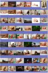 Thumbnail at https://xxxwebdlxxx.top/upload/small/2026/06/11/6a2a84d2a550c.jpg