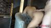 Thumbnail at https://xxxwebdlxxx.top/upload/small/2026/06/23/6a3aa0cf12644.jpg