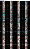 Thumbnail at https://xxxwebdlxxx.top/upload/small/2026/07/05/6a4abcb147a6d.jpeg