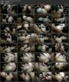 Thumbnail at https://xxxwebdlxxx.top/upload/small/2026/07/14/6a557521b0585.jpg