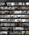 Thumbnail at https://xxxwebdlxxx.top/upload/small/2026/07/27/6a669c35da5d9.jpg