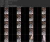 Thumbnail at https://xxxwebdlxxx.top/upload/small/2026/08/10/6a79d2eb93c38.jpg