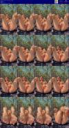 Thumbnail at https://xxxwebdlxxx.top/upload/small/2026/08/11/6a7b6b2898a86.jpg