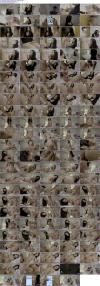 Thumbnail at https://xxxwebdlxxx.top/upload/small/2026/08/12/6a7cb6b1d5dd0.jpeg