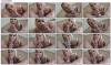 Thumbnail at https://xxxwebdlxxx.top/upload/small/2026/08/16/6a8213e3672fa.jpg