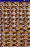 Thumbnail at https://xxxwebdlxxx.top/upload/small/2026/08/25/6a8c8d0e81370.jpg