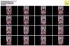 Thumbnail at https://xxxwebdlxxx.top/upload/small/2026/09/08/6a9fe65aa5753.jpg