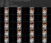 Thumbnail at https://xxxwebdlxxx.top/upload/small/2026/09/26/6ab6b31470df5.jpg