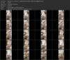 Thumbnail at https://xxxwebdlxxx.top/upload/small/2026/09/26/6ab6b3172dc70.jpg