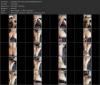Thumbnail at https://xxxwebdlxxx.top/upload/small/2026/09/26/6ab6b31839767.jpg