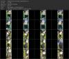 Thumbnail at https://xxxwebdlxxx.top/upload/small/2026/09/26/6ab6b31cca540.jpg