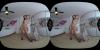 Thumbnail at https://xxxwebdlxxx.top/upload/small/2026/09/26/6ab7ab6100725.jpg